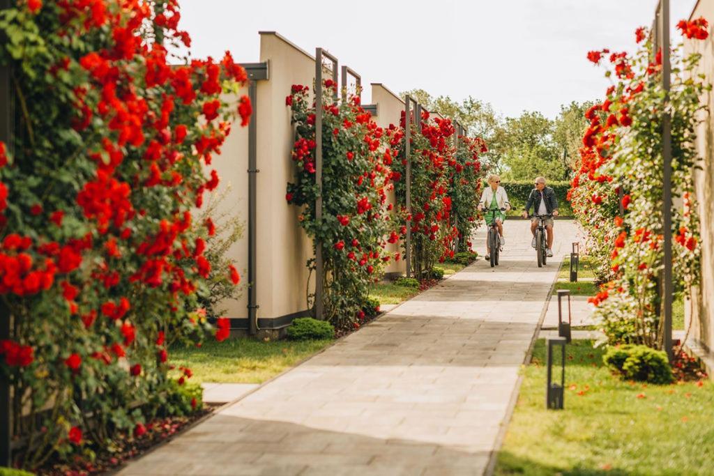 San Servolo Wellness Resort - Adults Only بوجي المظهر الخارجي الصورة